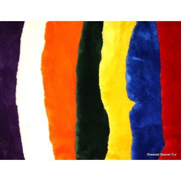 Beaver Pelt - A Variety Of Dyed, Sheared Fur