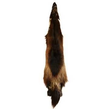 Wolverine Pelt #25075