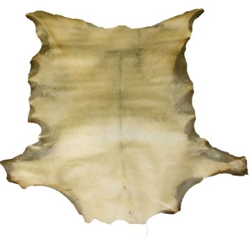 Goat Rawhide