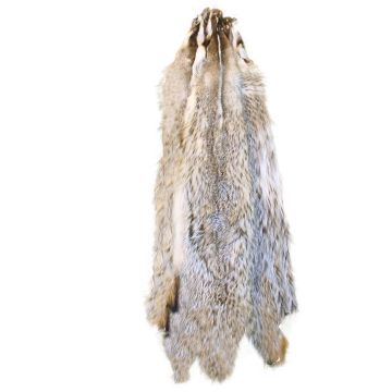 Premium Label Badger Pelt - Heavy/Semi Heavy 