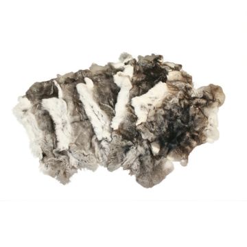 Craft Rex Rabbit Hide - Chinchilla Color