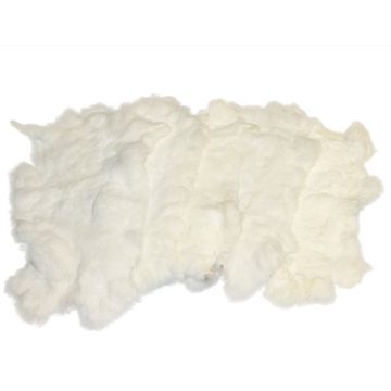 Rex Rabbit Hide - White