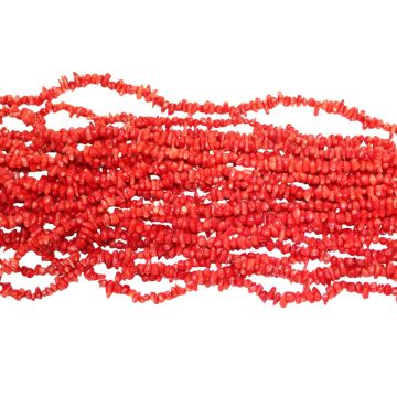 Chunk Coral Beads #1129