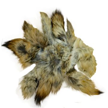 Coyote Tails - Second Quality (QTY 5)
