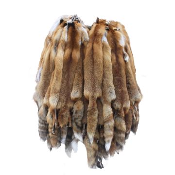 Premium Label Siberian Red Fox Pelt