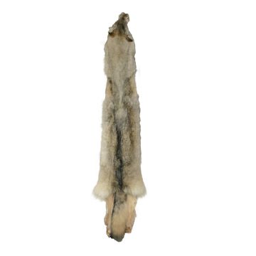  Wolf Pelt #93702