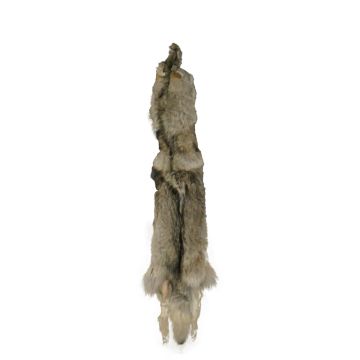 Premium Label Wolf Pelt #93712