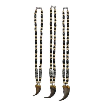 Bear Claw Necklace #212