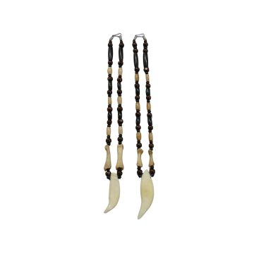 Bear Tooth And Coyote Bone Necklace #531