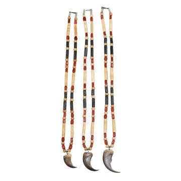 Bear Claw Necklace #765