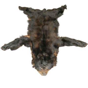 Glacier Wear - Bear Skins For Sale
