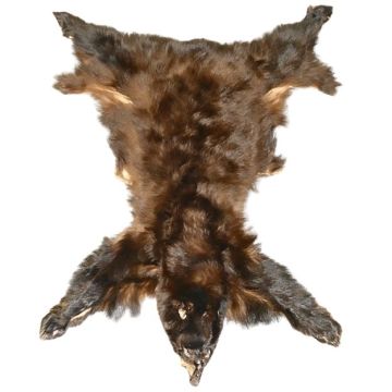 Black Bear Hide #13005