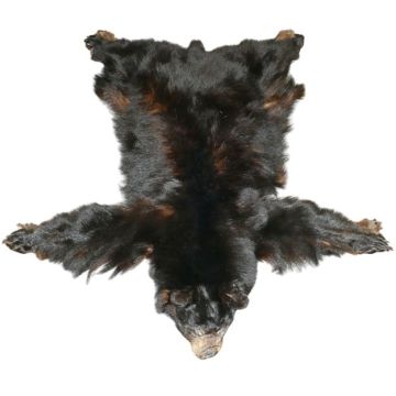 Black Bear Hide #13025
