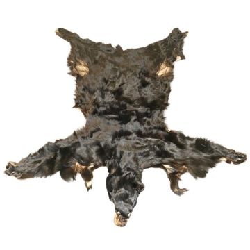 Black Bear Hide #23015