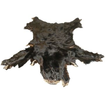 Black Bear Hide #24005