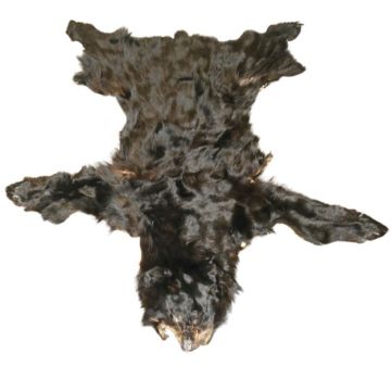Black Bear Hide #33035
