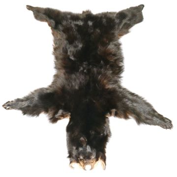 Premium Label Black Bear Hide #33455