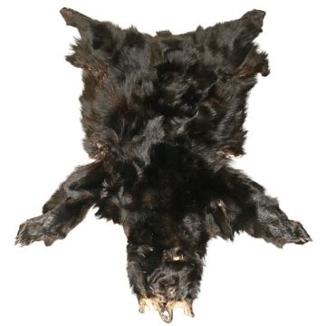 Premium Label Black Bear Hide #34505
