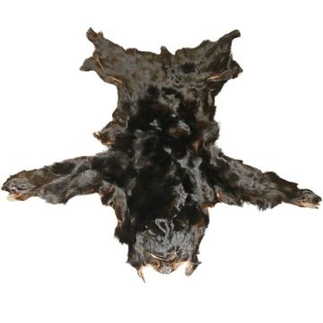Black Bear Hide #45505