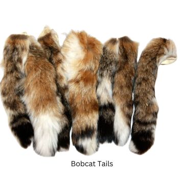 Bobcat Tails / Keychains