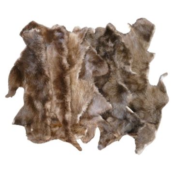 Beaver Belly Sides (Qty 2)