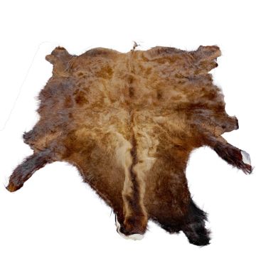 First Quality Buffalo Bison Robe/Hide/Rug - #1754