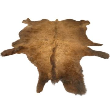 First Quality Buffalo Bison Robe/Hide/Rug - #1755