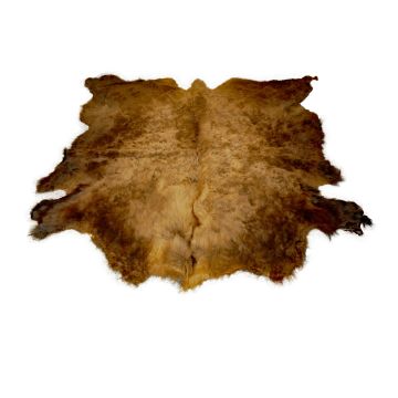 First Quality Buffalo Bison Robe/Hide/Rug - #1756