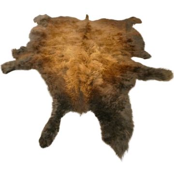 First Quality Buffalo Bison Robe/Hide/Rug - #1756