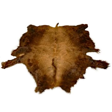 First Quality Buffalo Bison Robe/Hide/Rug - #1758