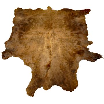 First Quality Buffalo Bison Robe/Hide/Rug - #1759
