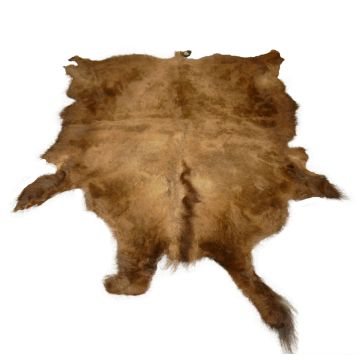 First Quality Buffalo Bison Robe/Hide/Rug - #1760