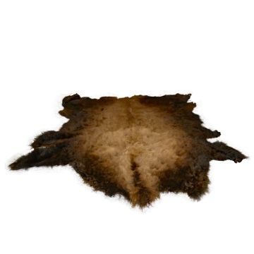 First Quality Buffalo Bison Robe/Hide/Rug - #1761