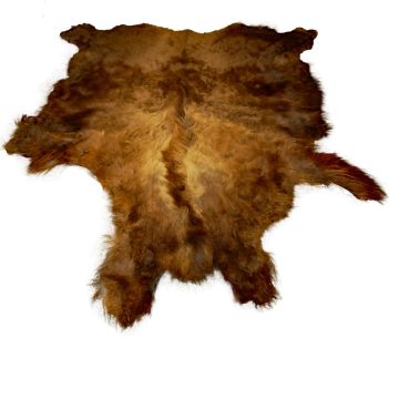 First Quality Buffalo Bison Robe/Hide/Rug - #1762