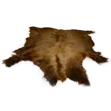 First Quality Buffalo Bison Robe/Hide/Rug - #1764