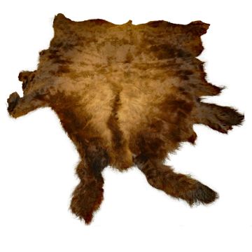 First Quality Buffalo Bison Robe/Hide/Rug - #1766