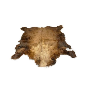 First Quality Buffalo Bison Robe/Hide/Rug - #1774