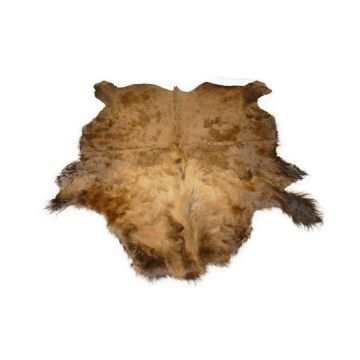 First Quality Buffalo Bison Robe/Hide/Rug - #1777