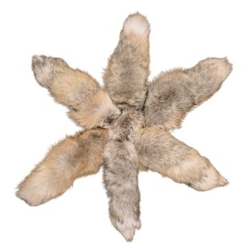 Brightened Golden Island Fox Tails/keychains