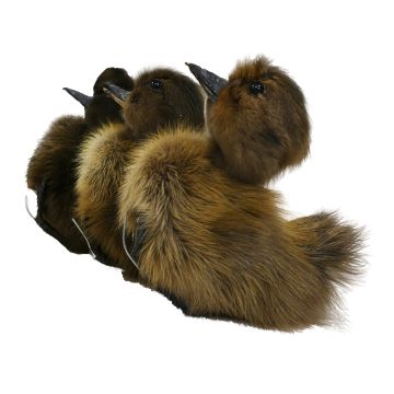 Taxidermy Duckling - Brown/Black