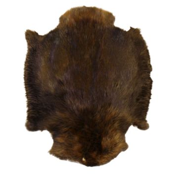 Beaver Pelt - Premium Label, North-Eastern (Quebec)