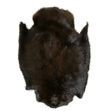 Premium Label Beaver Pelt - Dyed Mahogany 