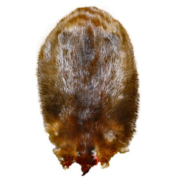 Beaver Pelt - Second Quality
