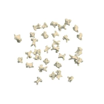 Chicken Vertebrae (QTY 10)