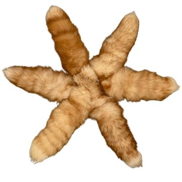 Cinnamon Mutation - Fox Tail/Keychain 