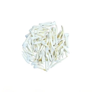 Deer Teeth - (Qty 10)