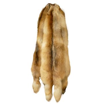 Arctic Finn Raccoon Pelt - Saga Royal