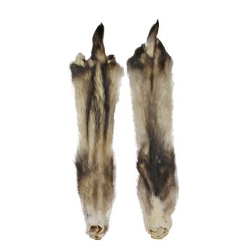 Fitch - Ferret Pelt