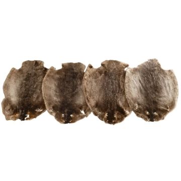  Naturally Freckled Beaver Pelt -  Plucked And Sheared