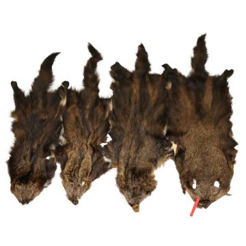 Brown / Pale Brown Fisher Pelt - Very Slight/ Slight